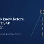 Illustration of a highway toward the horizon, representing the DOT SAP return-to-duty process
